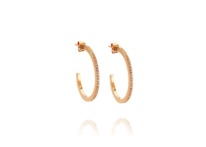 CZ Studded Hoop Earring